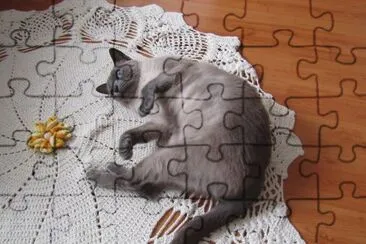 Gata Filo