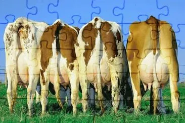 Vacas Leiteras jigsaw puzzle