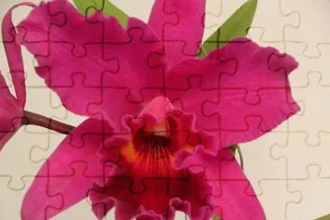 imagens jigsaw puzzle