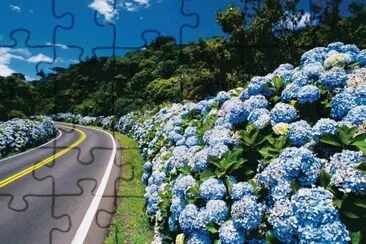 imagens jigsaw puzzle
