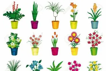 florero jigsaw puzzle