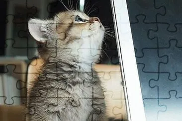 adorable jigsaw puzzle