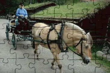 Horse   Carriage
