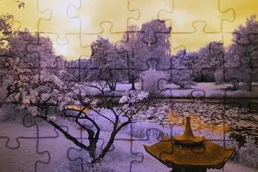 29 jigsaw puzzle