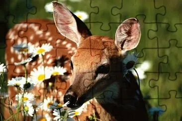 26 jigsaw puzzle