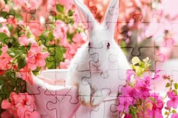 27 jigsaw puzzle