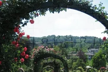 Garden Path - Northern Italy jigsaw puzzle