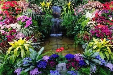 Gorgeous Waterfall Garden