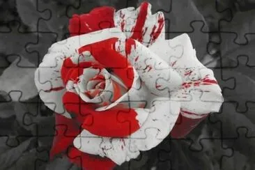 imagens