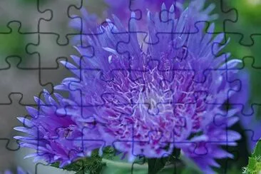 imagens jigsaw puzzle