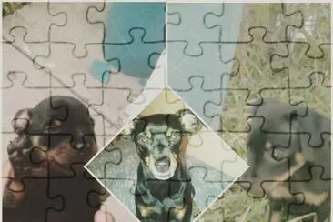 enmateo jigsaw puzzle