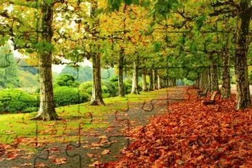 Paseo
