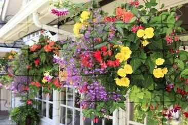 Jardines jigsaw puzzle