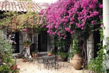 Curazados jigsaw puzzle