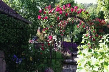 Giverny Village Garden-Paris jigsaw puzzle