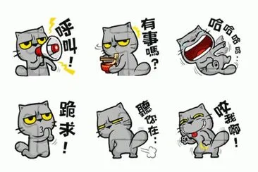 è²“çˆªæŠ“ jigsaw puzzle