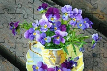 Violer