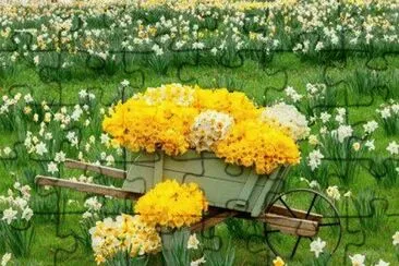 Springflowers