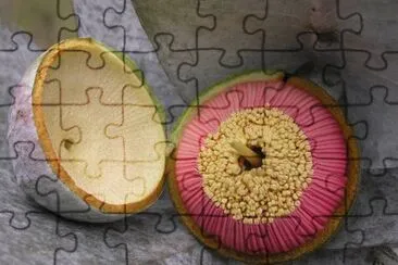 æ¡‰æ¨¹èŠ± jigsaw puzzle