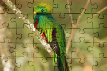 QUETZAL