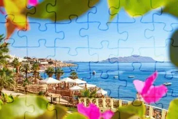 169 jigsaw puzzle
