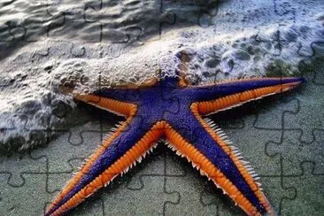 imagens jigsaw puzzle