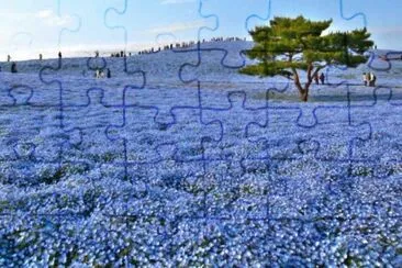 todo paisaje