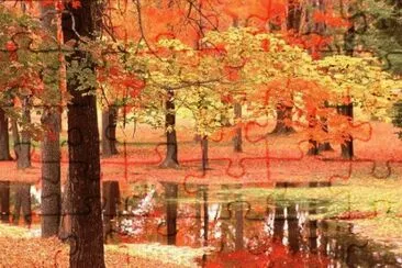todo paisaje jigsaw puzzle