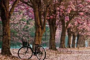 disfrutar jigsaw puzzle