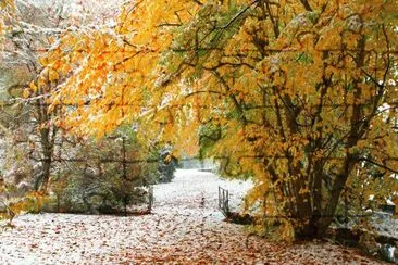 todo paisaje jigsaw puzzle