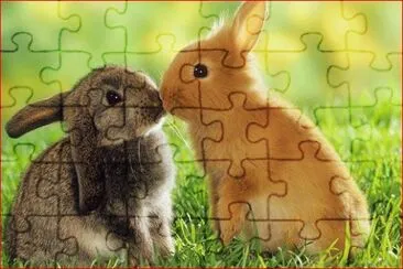 CONEJOS jigsaw puzzle