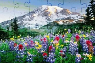 volcÃ¡n jigsaw puzzle