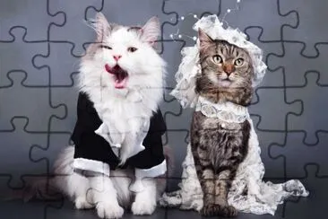 פאזל של Cats Wedding