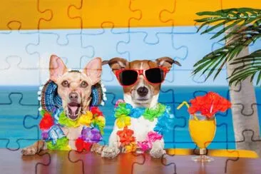Dogs-in-tropical jigsaw puzzle