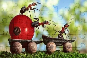 Hormigas viajeras jigsaw puzzle