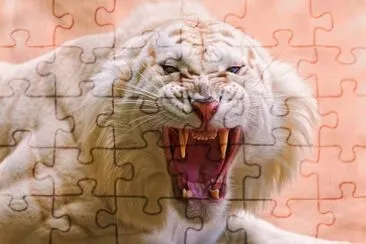 Tigre Enfadado