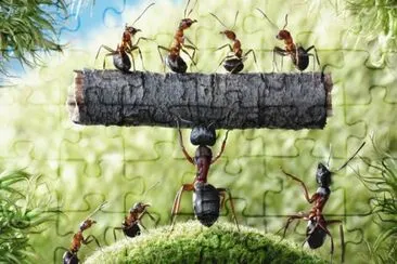 Super Hormiga jigsaw puzzle