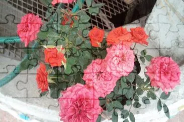flores jigsaw puzzle