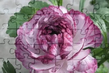 imagens jigsaw puzzle