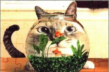 151