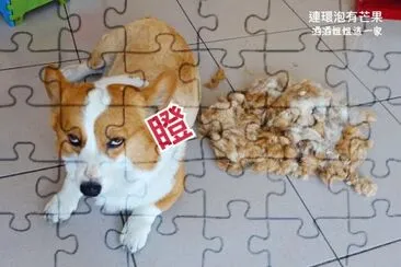 é€£ç’°æ³¡æœ‰èŠ’æžœ jigsaw puzzle