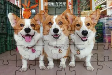 é€£ç’°æ³¡æœ‰èŠ’æžœ