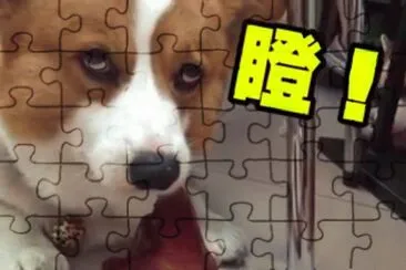 é€£ç’°æ³¡æœ‰èŠ’æžœ