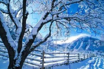 todo paisaje jigsaw puzzle