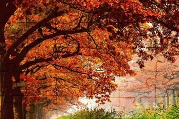 todo paisaje jigsaw puzzle