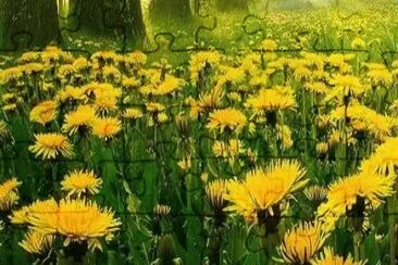 pretty flowers jigsaw puzzle