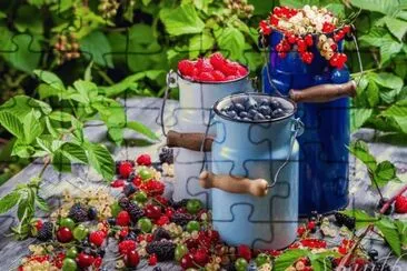 Frutas finas de la Comarca Andina jigsaw puzzle