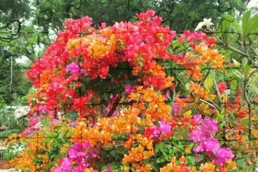 imagens jigsaw puzzle