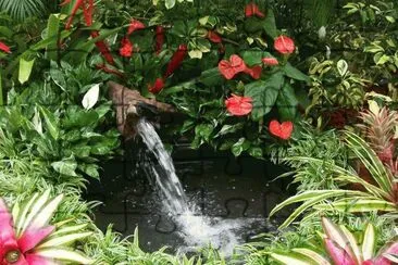 Festival Flores Aibonito jigsaw puzzle