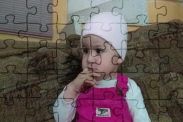 gorda jigsaw puzzle